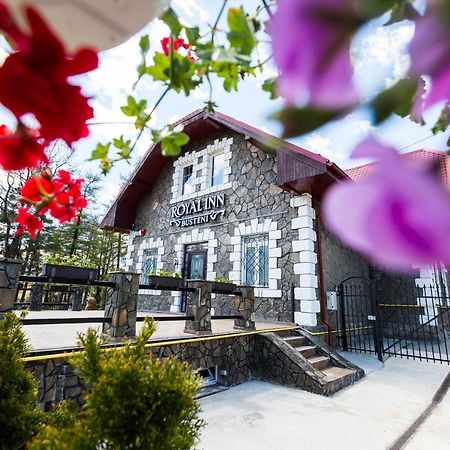 Royal Inn Busteni-Adults Only Εξωτερικό φωτογραφία
