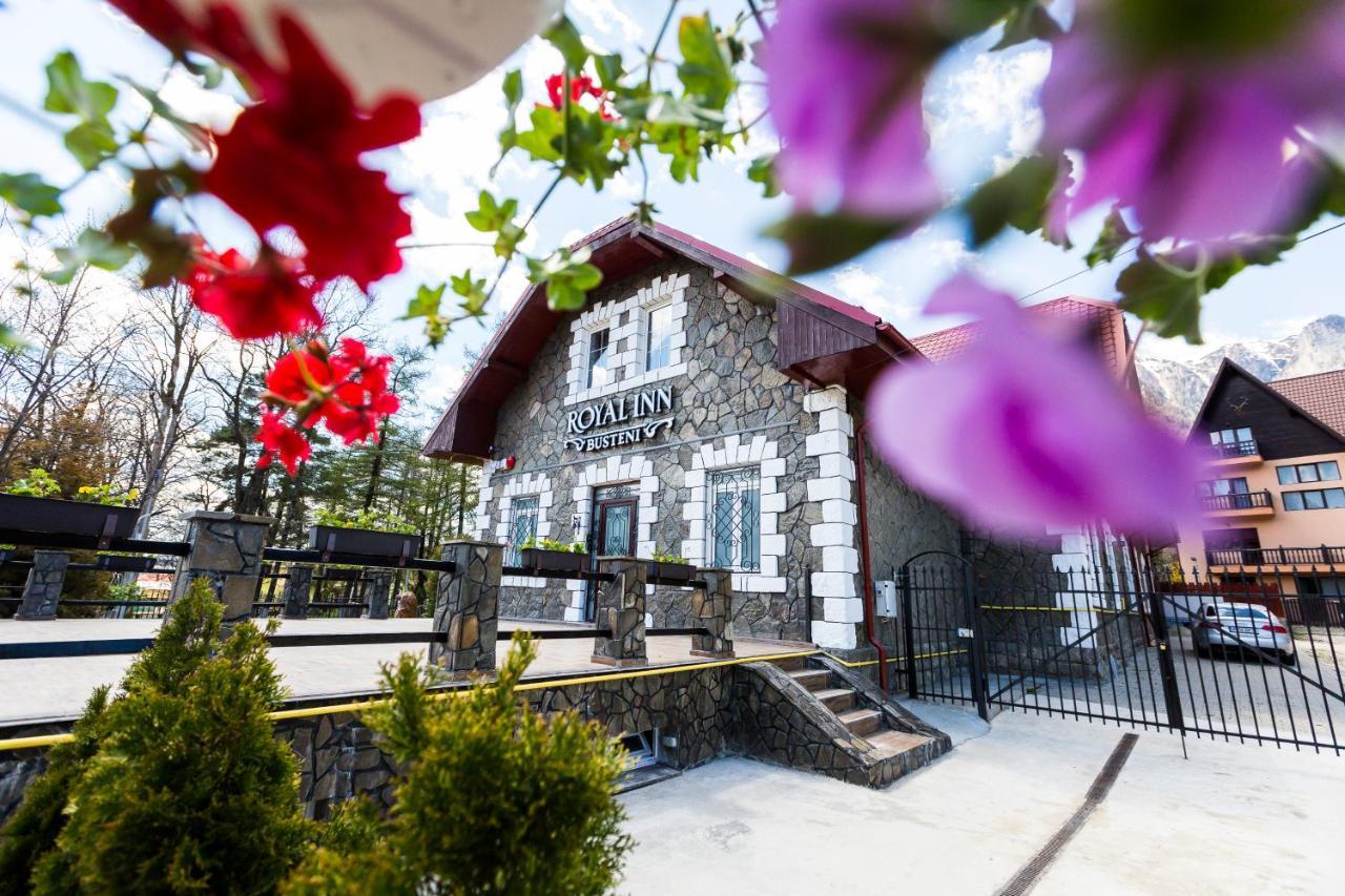 Royal Inn Busteni-Adults Only Εξωτερικό φωτογραφία