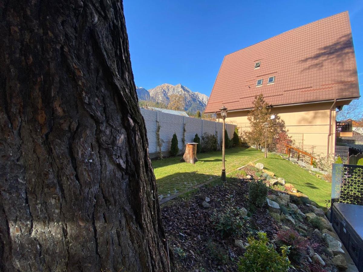 Royal Inn Busteni-Adults Only Εξωτερικό φωτογραφία