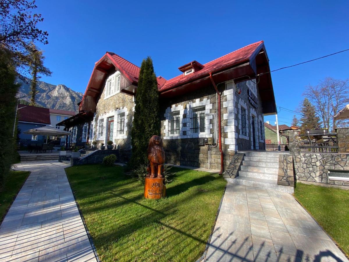 Royal Inn Busteni-Adults Only Εξωτερικό φωτογραφία