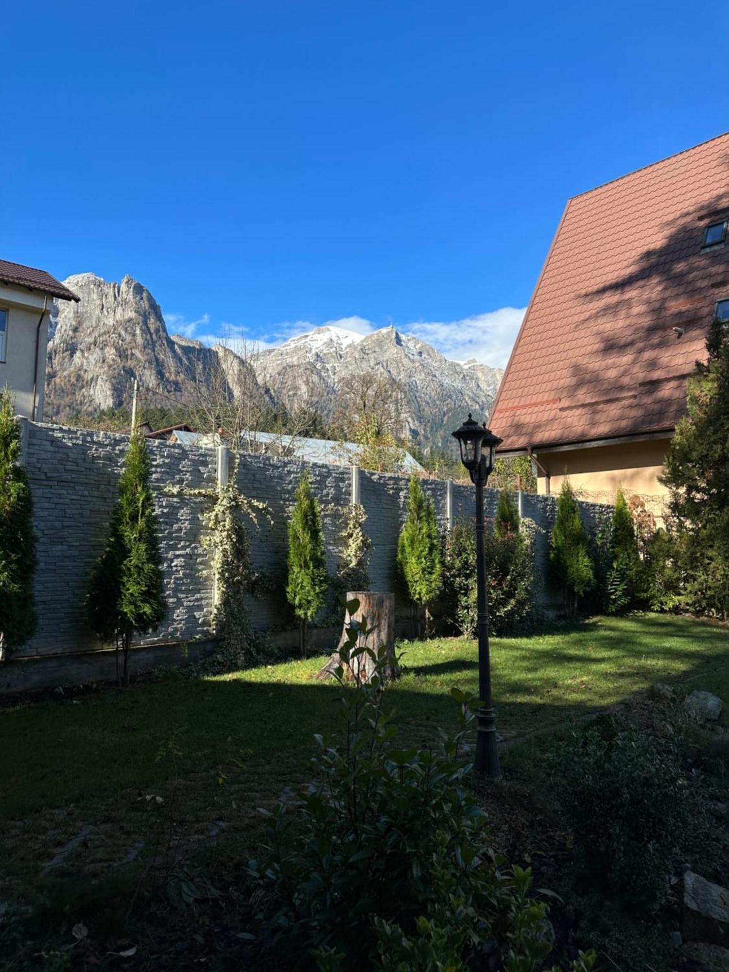 Royal Inn Busteni-Adults Only Εξωτερικό φωτογραφία