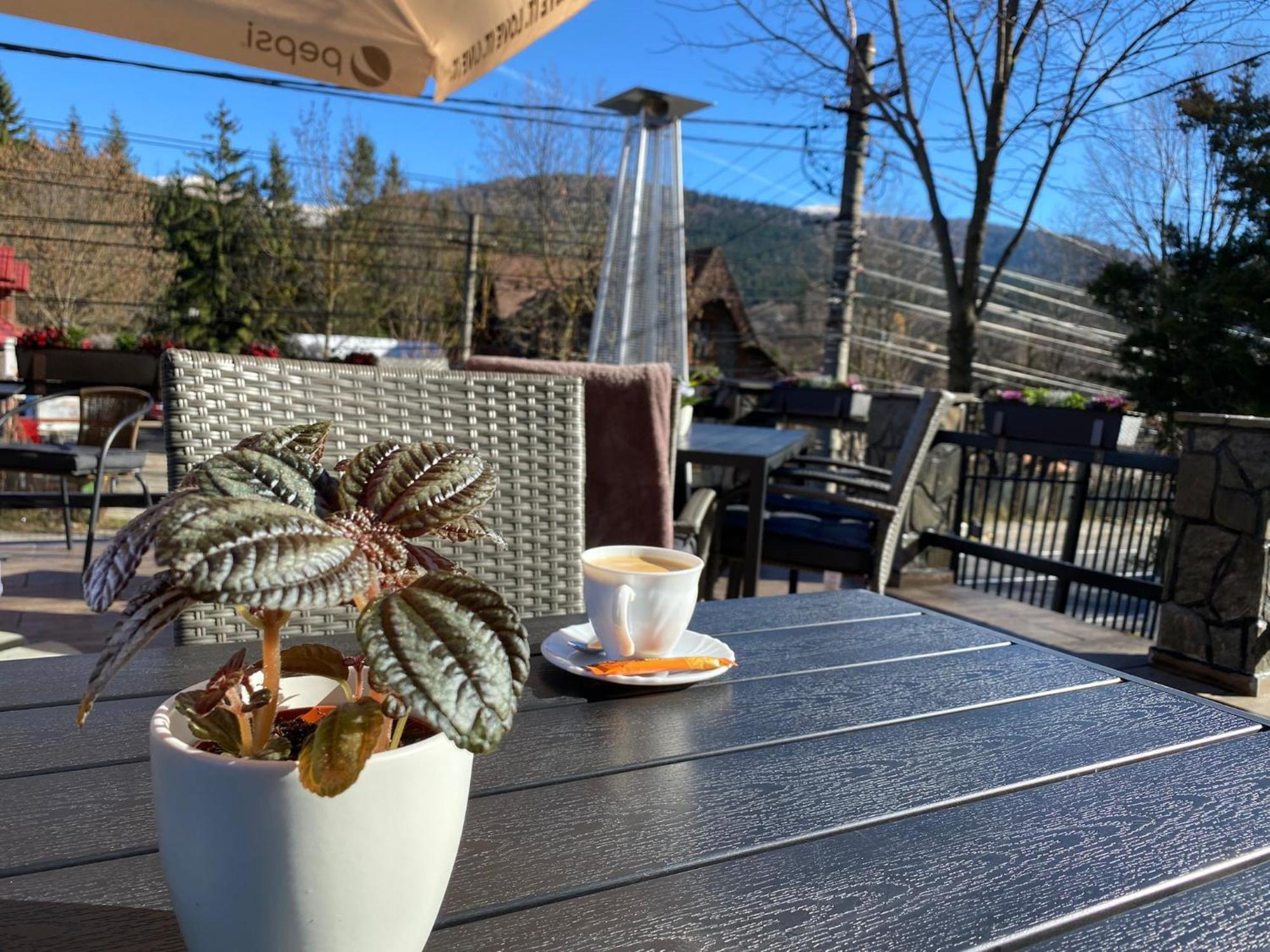 Royal Inn Busteni-Adults Only Εξωτερικό φωτογραφία